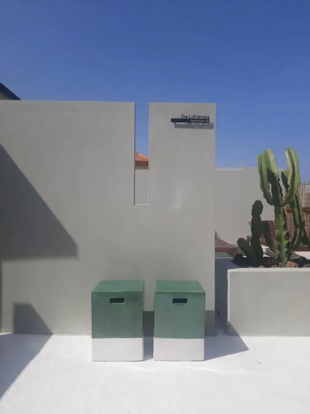 Spectacular 125 M2 Loft With Sunny Rooftop Terrace Vecindario  Spain